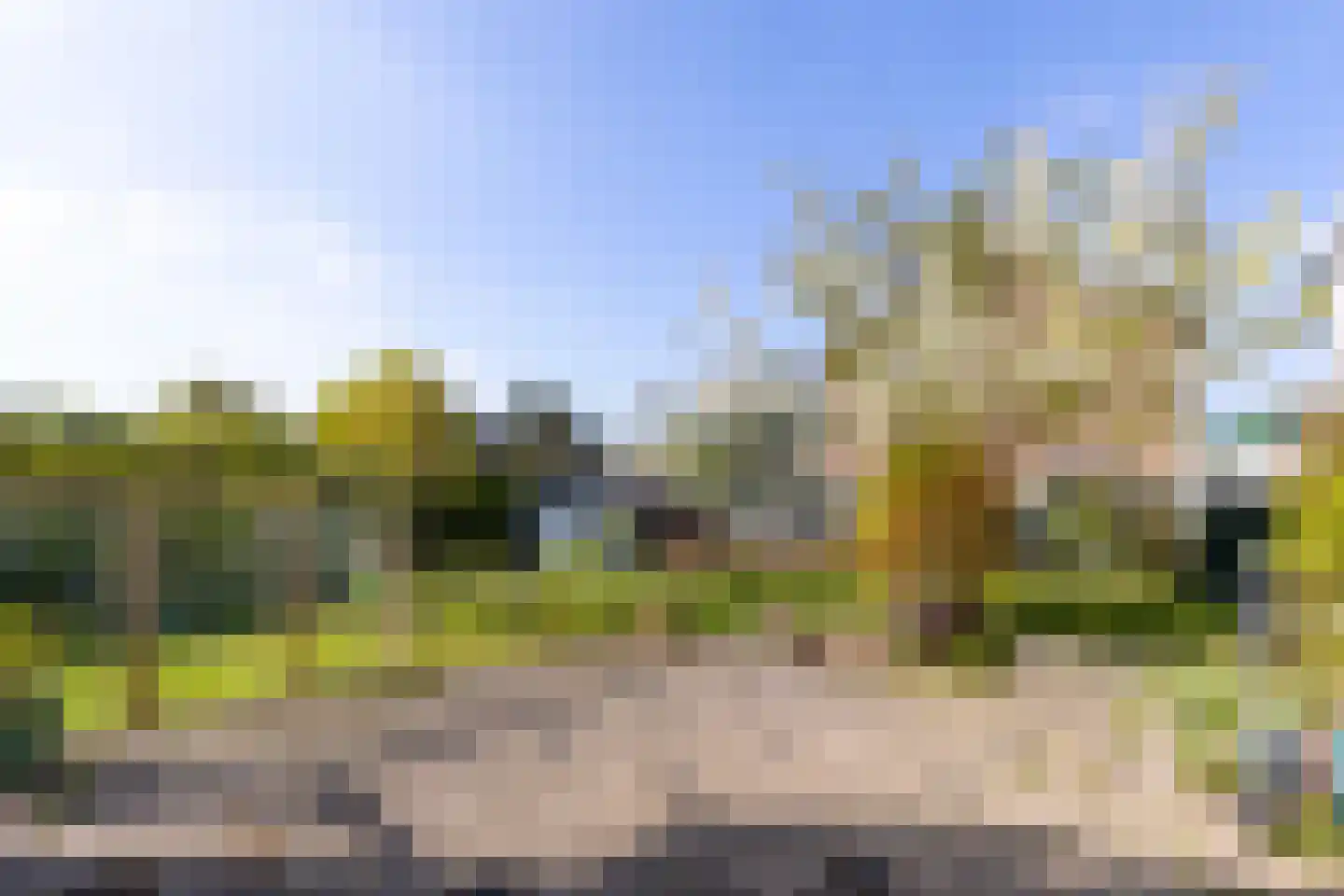 de Savornin Lohmanstraat 6 Zandvoort thumbnail 31