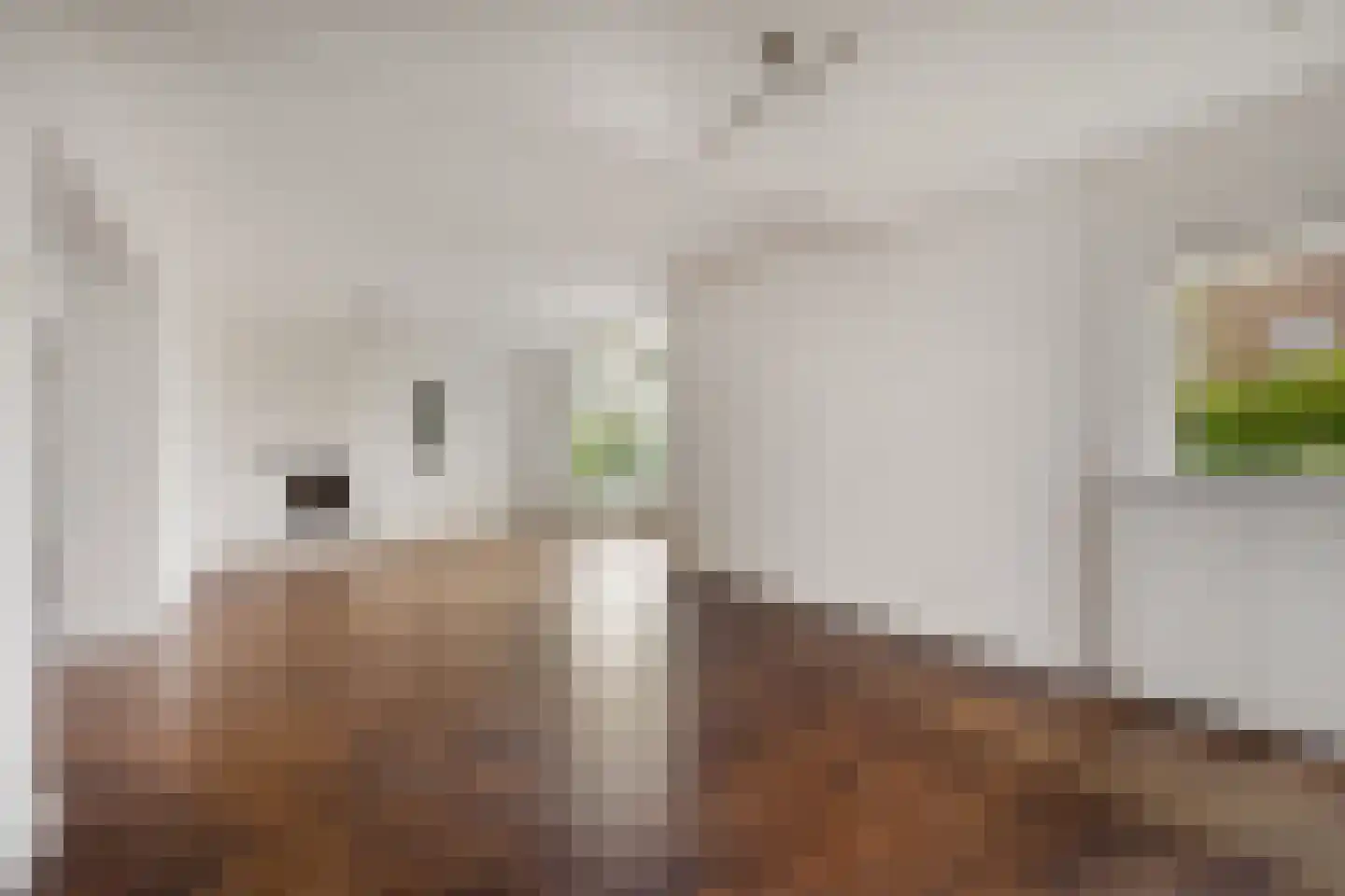 de Savornin Lohmanstraat 6 Zandvoort thumbnail 7