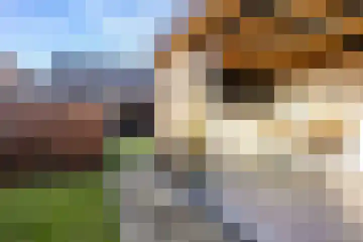 De Savornin Lohmanstraat 76 Veenendaal thumbnail 39