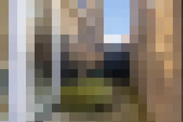 De Savornin Lohmanstraat 76 Veenendaal thumbnail 41