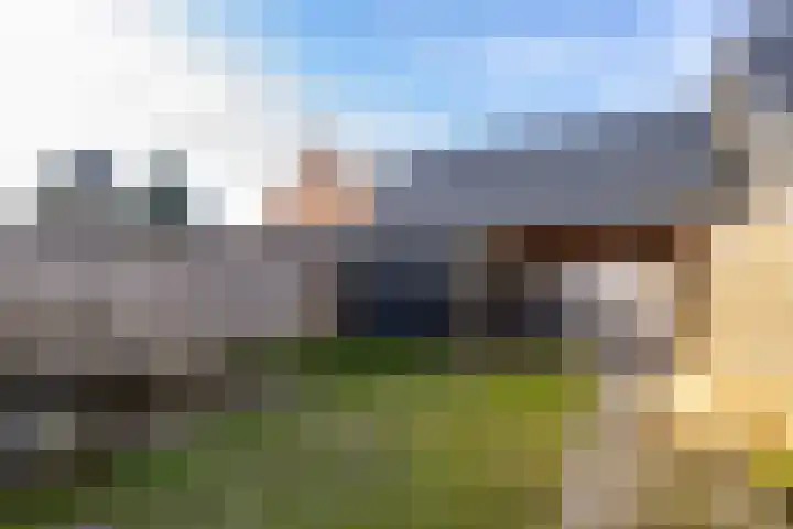 De Savornin Lohmanstraat 76 Veenendaal thumbnail 44