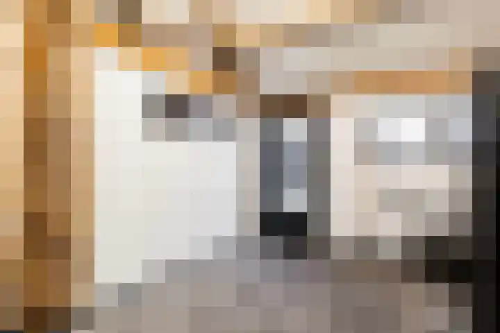 De Savornin Lohmanstraat 76 Veenendaal thumbnail 46