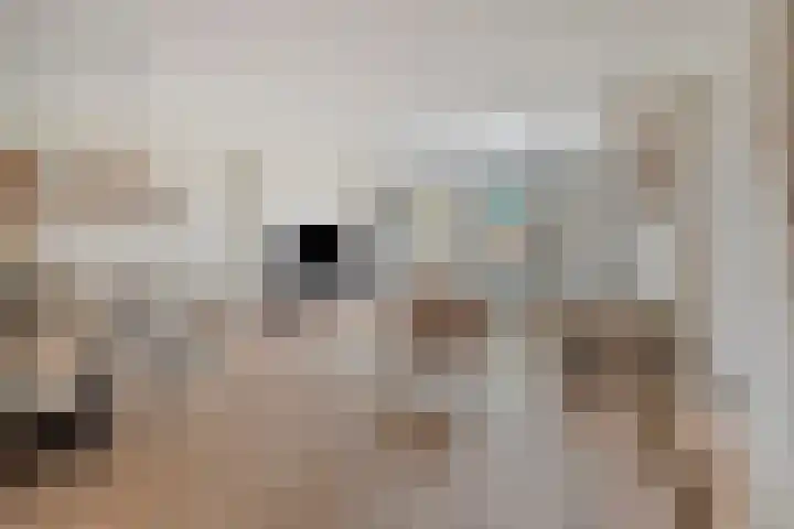 de Savornin Lohmanstraat 8 's-Hertogenbosch thumbnail 4