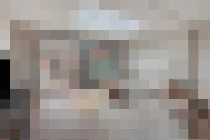 de Savornin Lohmanstraat 8 's-Hertogenbosch thumbnail 5