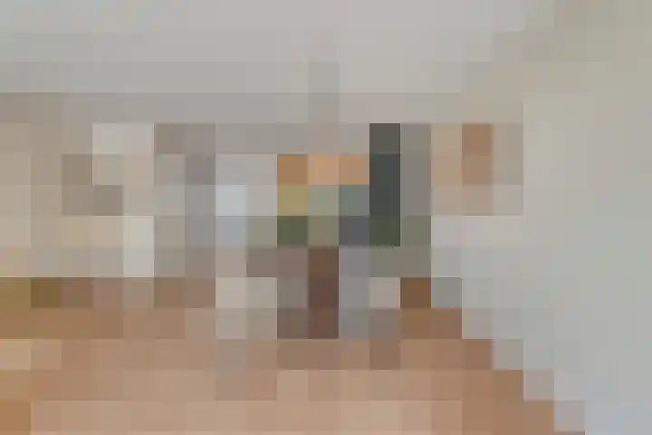 de Savornin Lohmanstraat 8 's-Hertogenbosch thumbnail 8