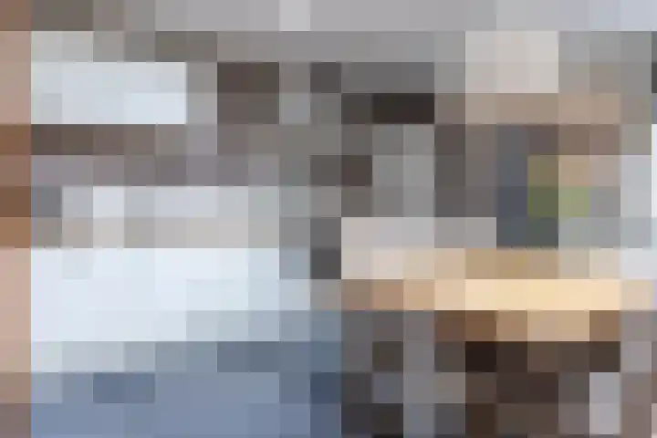 De Savornin Lohmanstraat 99 Veenendaal thumbnail 10