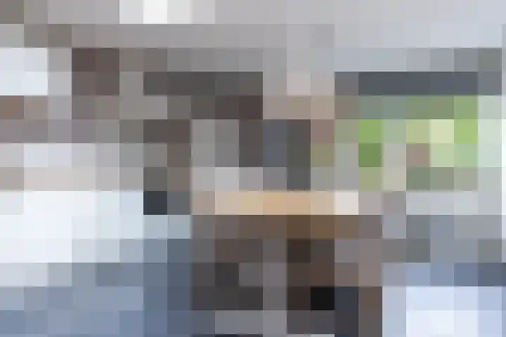 De Savornin Lohmanstraat 99 Veenendaal thumbnail 16