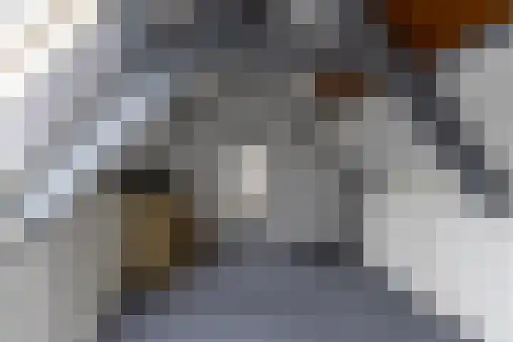 De Savornin Lohmanstraat 99 Veenendaal thumbnail 21