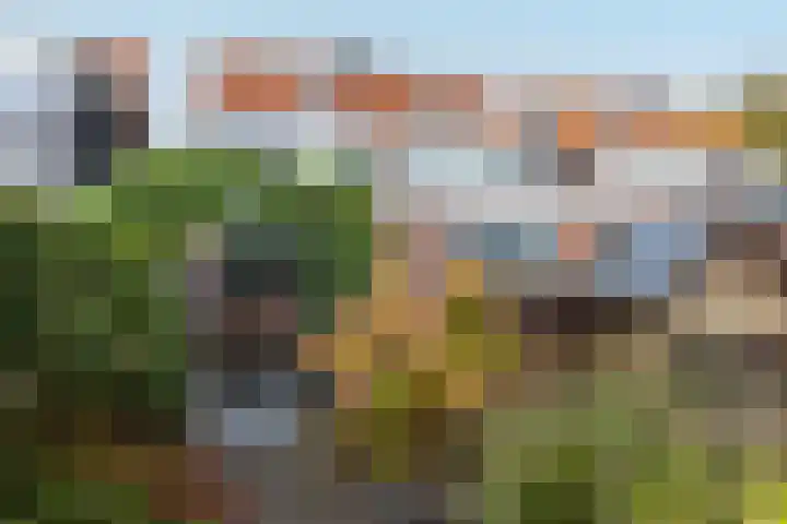 De Savornin Lohmanstraat 99 Veenendaal thumbnail 22
