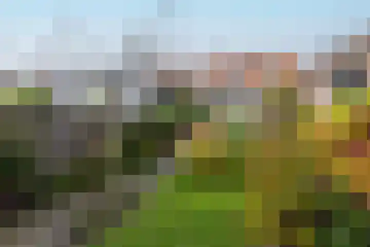 De Savornin Lohmanstraat 99 Veenendaal thumbnail 23