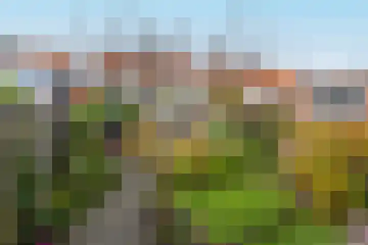 De Savornin Lohmanstraat 99 Veenendaal thumbnail 24