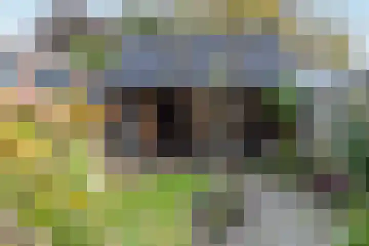 De Savornin Lohmanstraat 99 Veenendaal thumbnail 25