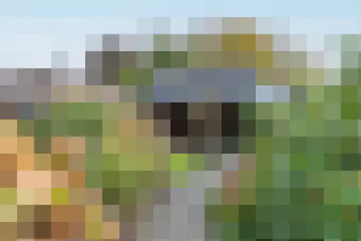 De Savornin Lohmanstraat 99 Veenendaal thumbnail 5