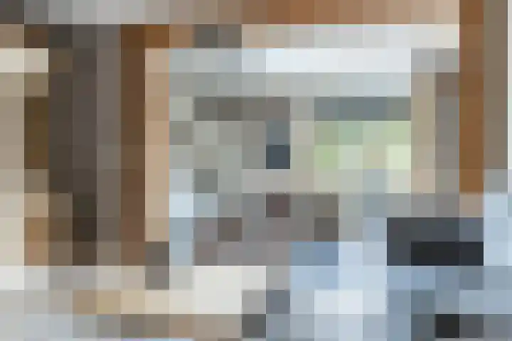 De Savornin Lohmanstraat 99 Veenendaal thumbnail 8