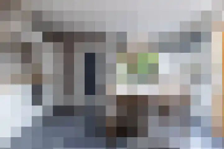 De Savornin Lohmanstraat 99 Veenendaal thumbnail 9