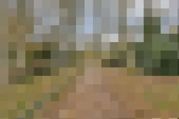 De Savornin Lohmanweg 10 Dordrecht thumbnail 22