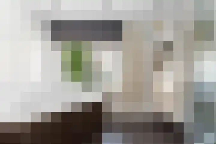 De Savornin Lohmanweg 17 Alblasserdam thumbnail 30