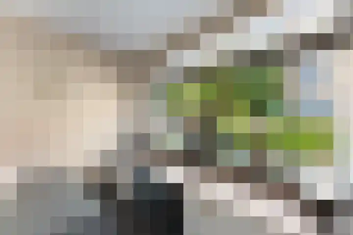 De Savornin Lohmanweg 17 Alblasserdam thumbnail 4