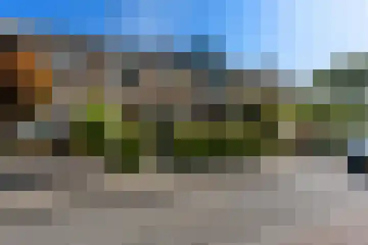 De Savornin Lohmanweg 17 Alblasserdam thumbnail 46