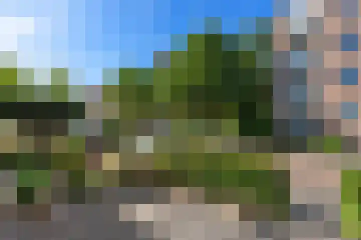 De Savornin Lohmanweg 17 Alblasserdam thumbnail 48