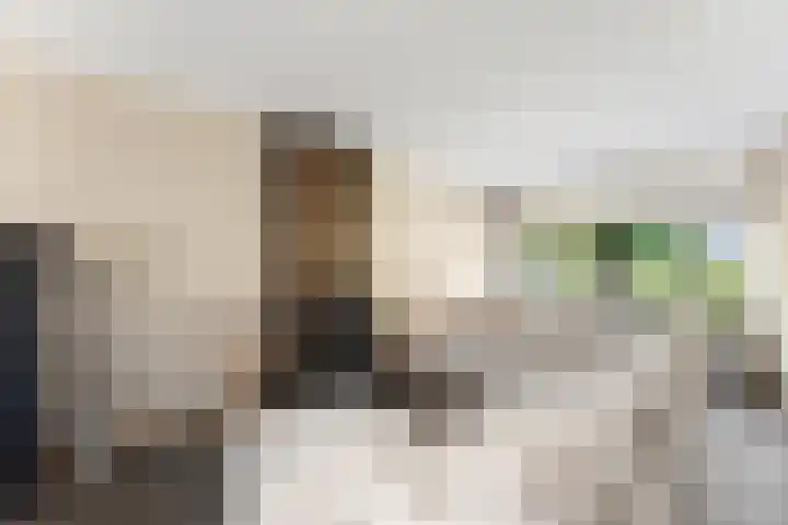 De Savornin Lohmanweg 17 Alblasserdam thumbnail 8