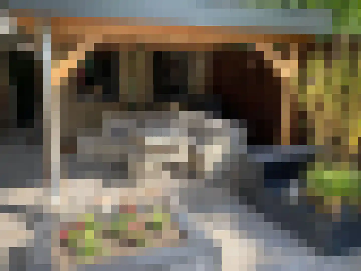 De Savornin Lohmanweg 8 De Bilt thumbnail 31