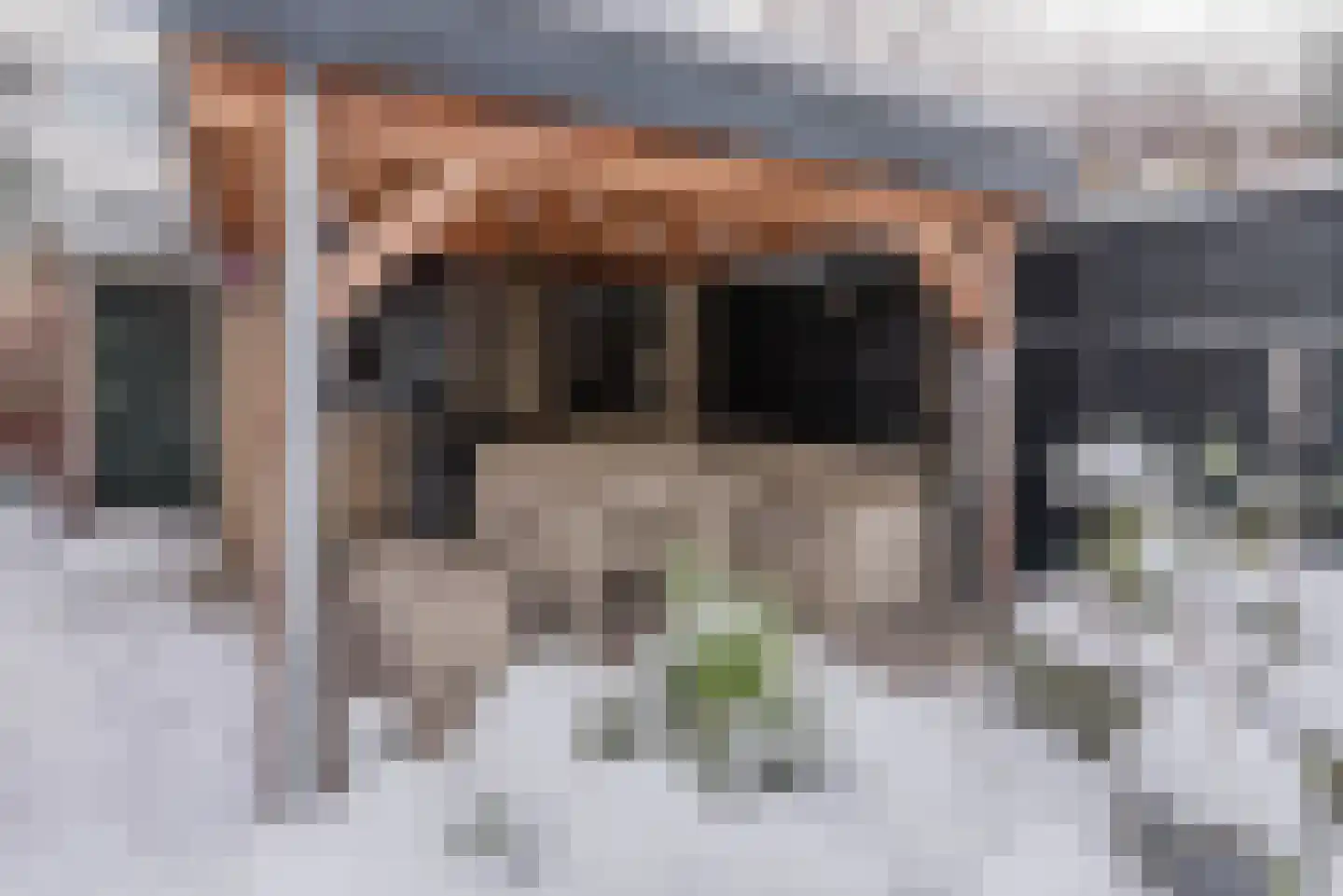 De Savornin Lohmanweg 8 De Bilt thumbnail 32