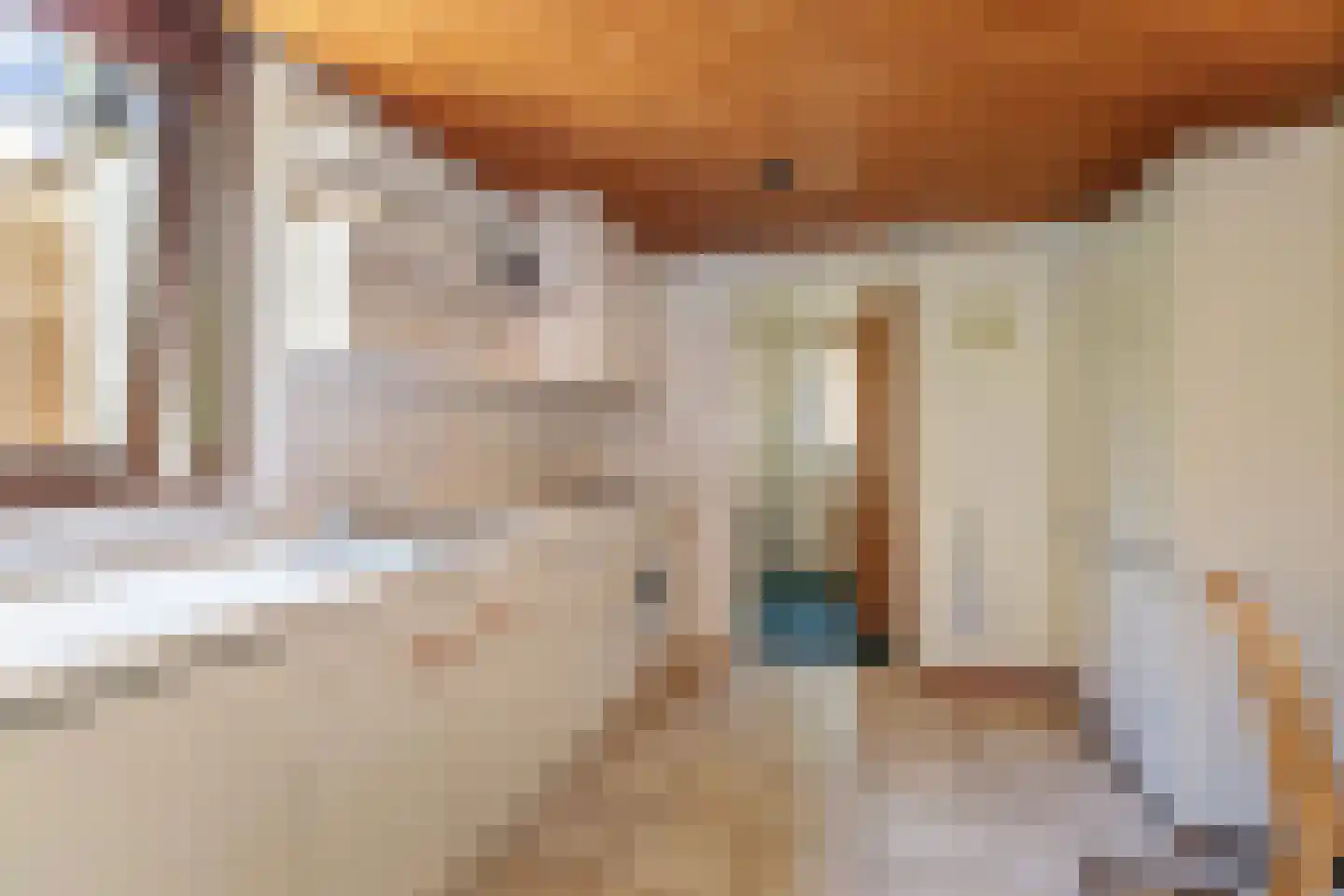 de Schaapvijver 3 Olst thumbnail 13