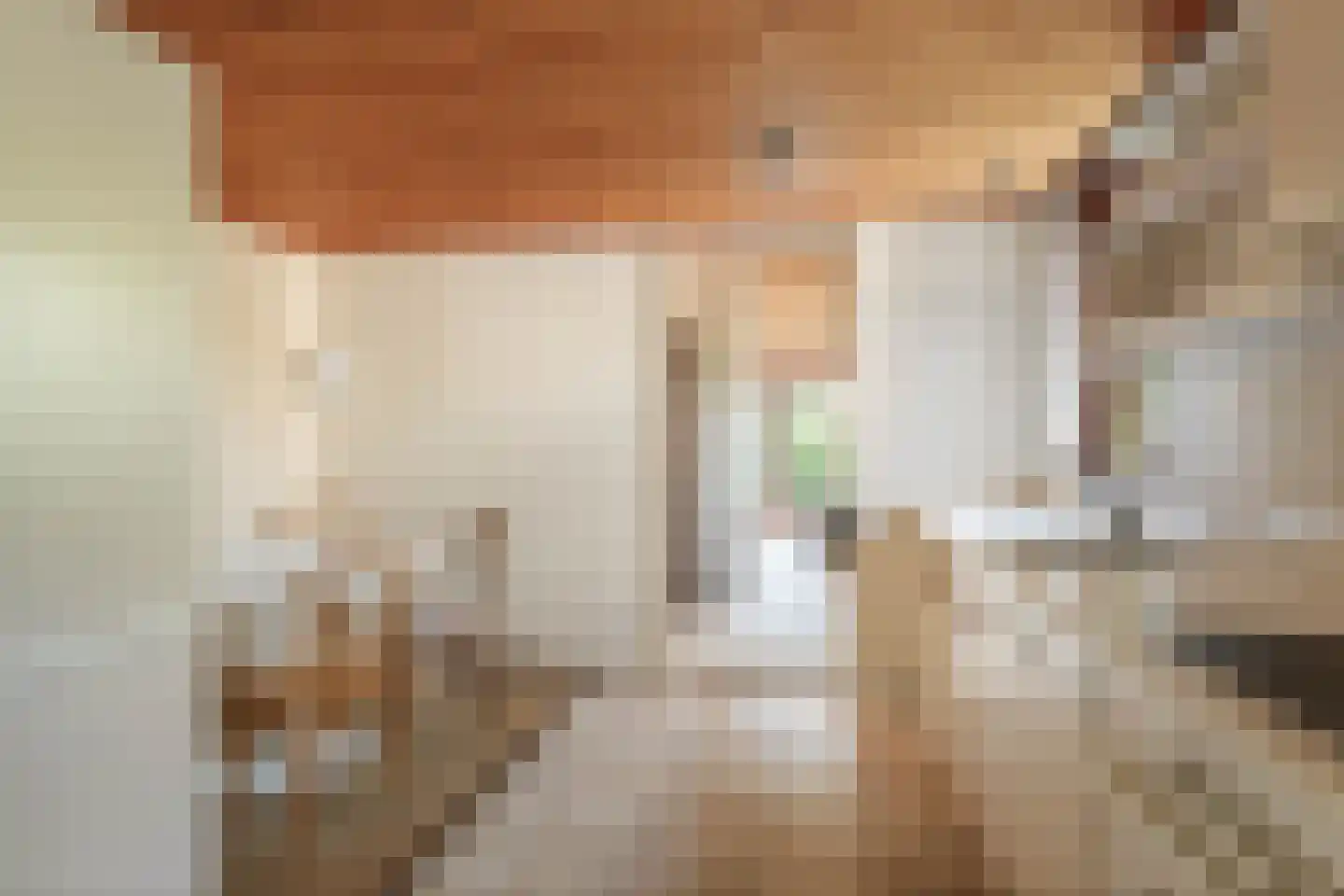 de Schaapvijver 3 Olst thumbnail 14