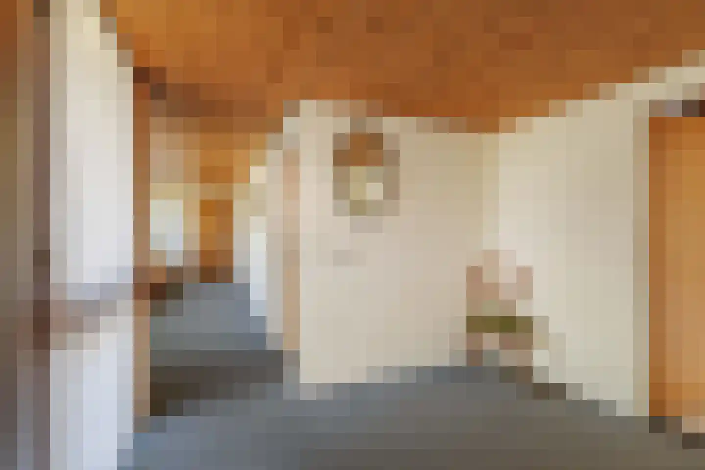 de Schaapvijver 3 Olst thumbnail 17