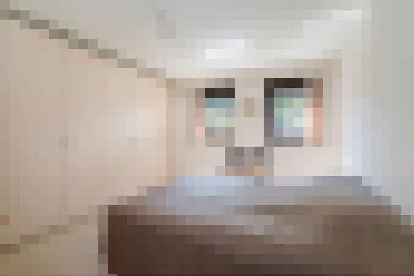 de Schaapvijver 3 Olst thumbnail 23