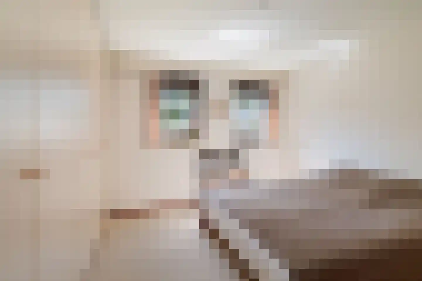 de Schaapvijver 3 Olst thumbnail 24
