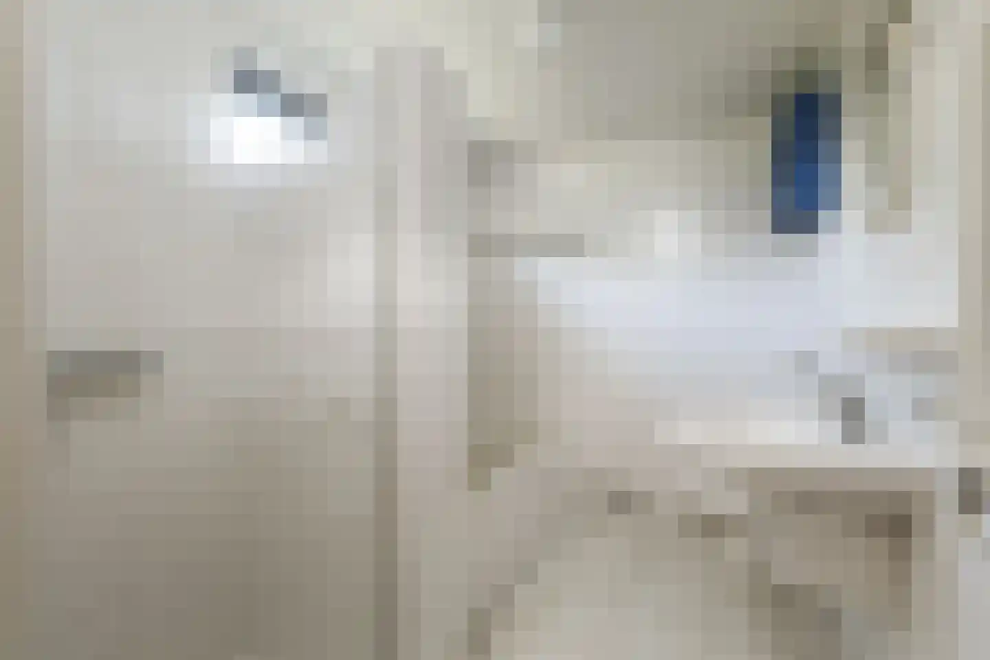 de Schaapvijver 3 Olst thumbnail 25