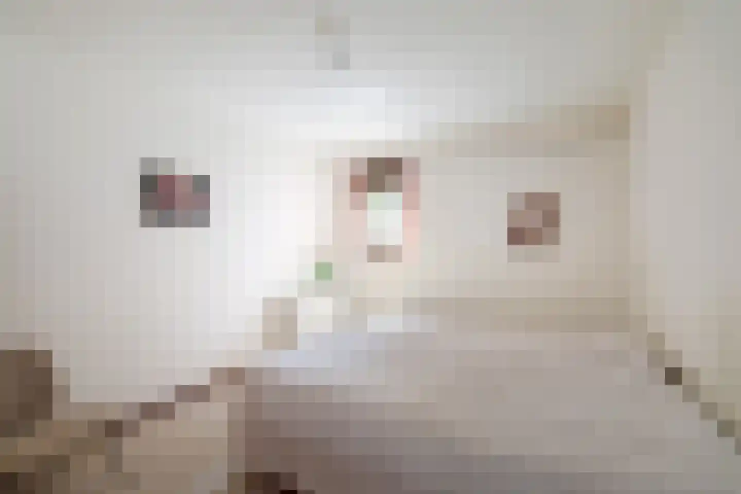 de Schaapvijver 3 Olst thumbnail 26