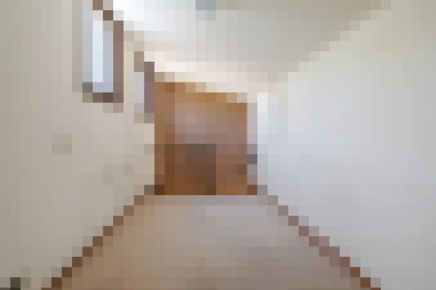 de Schaapvijver 3 Olst thumbnail 28