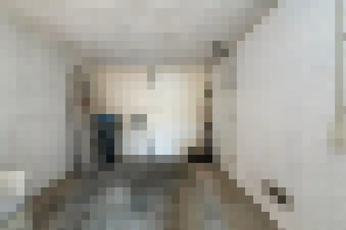 de Schaapvijver 3 Olst thumbnail 29