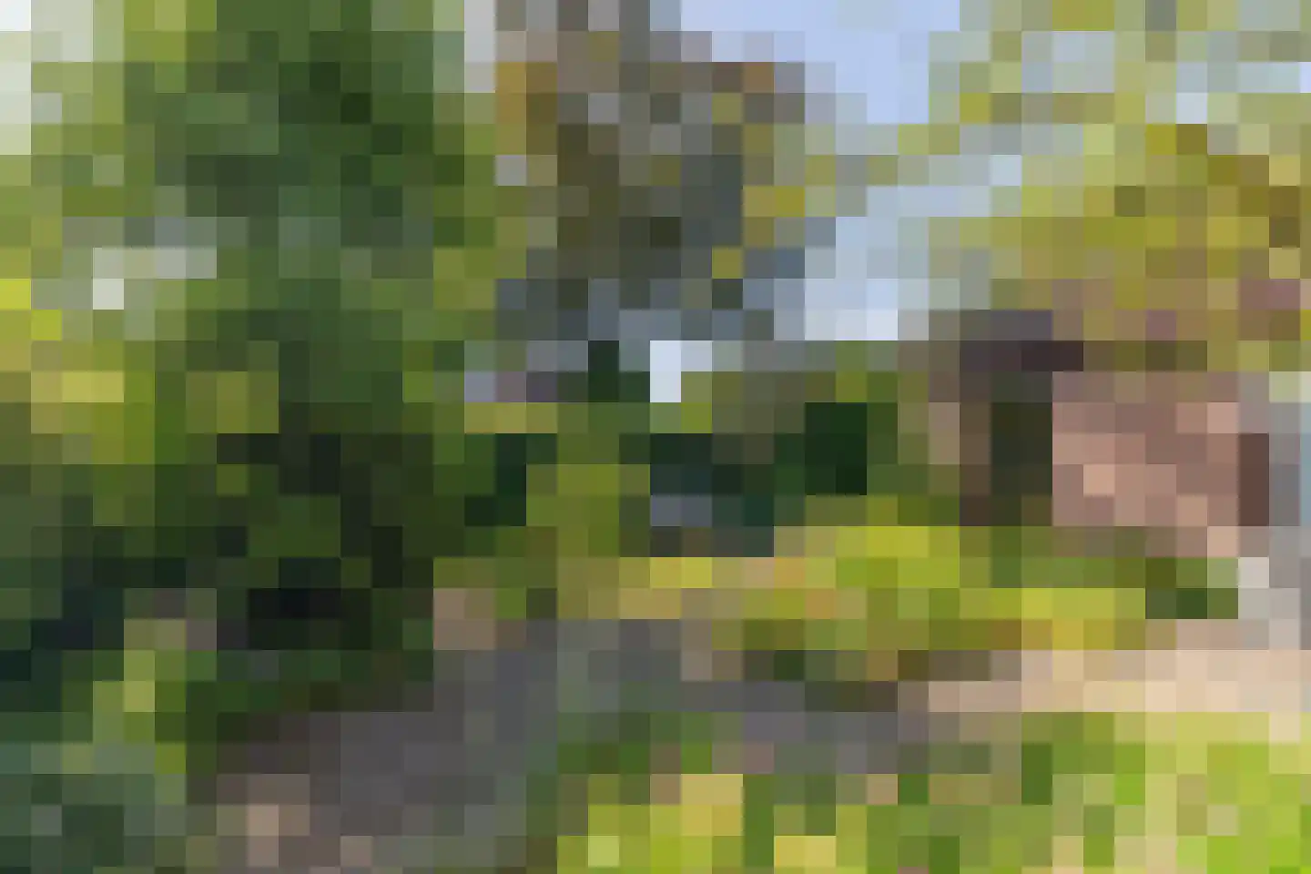 de Schaapvijver 3 Olst thumbnail 34