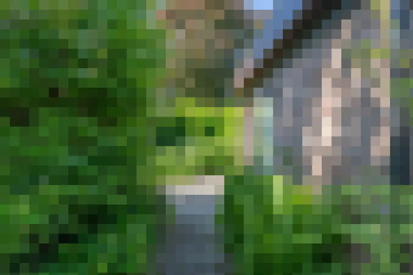 de Schaapvijver 3 Olst thumbnail 35