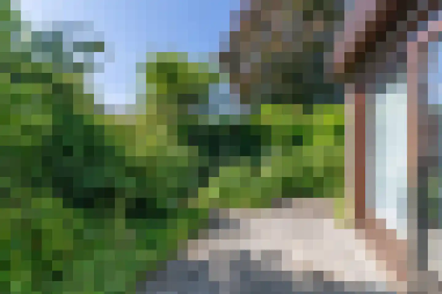 de Schaapvijver 3 Olst thumbnail 36