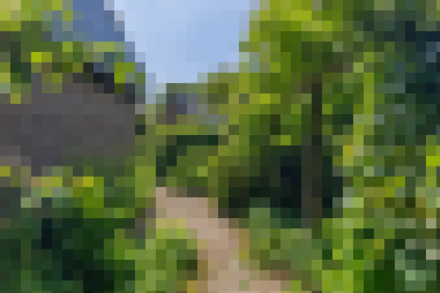 de Schaapvijver 3 Olst thumbnail 38