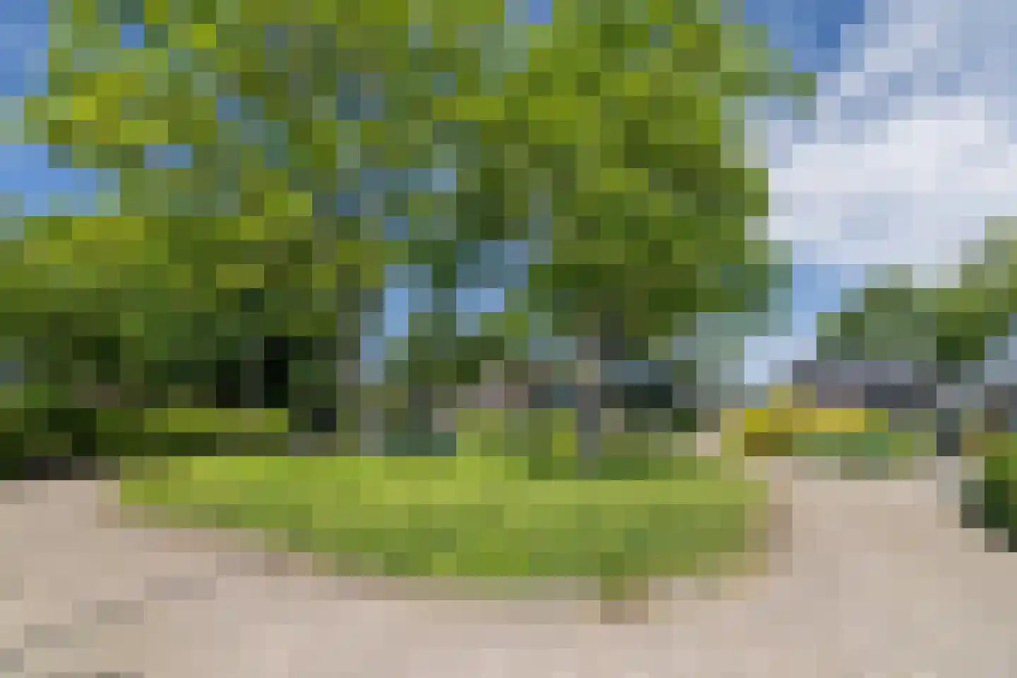 de Schaapvijver 3 Olst thumbnail 4