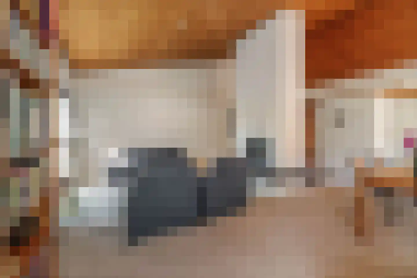 de Schaapvijver 3 Olst thumbnail 8