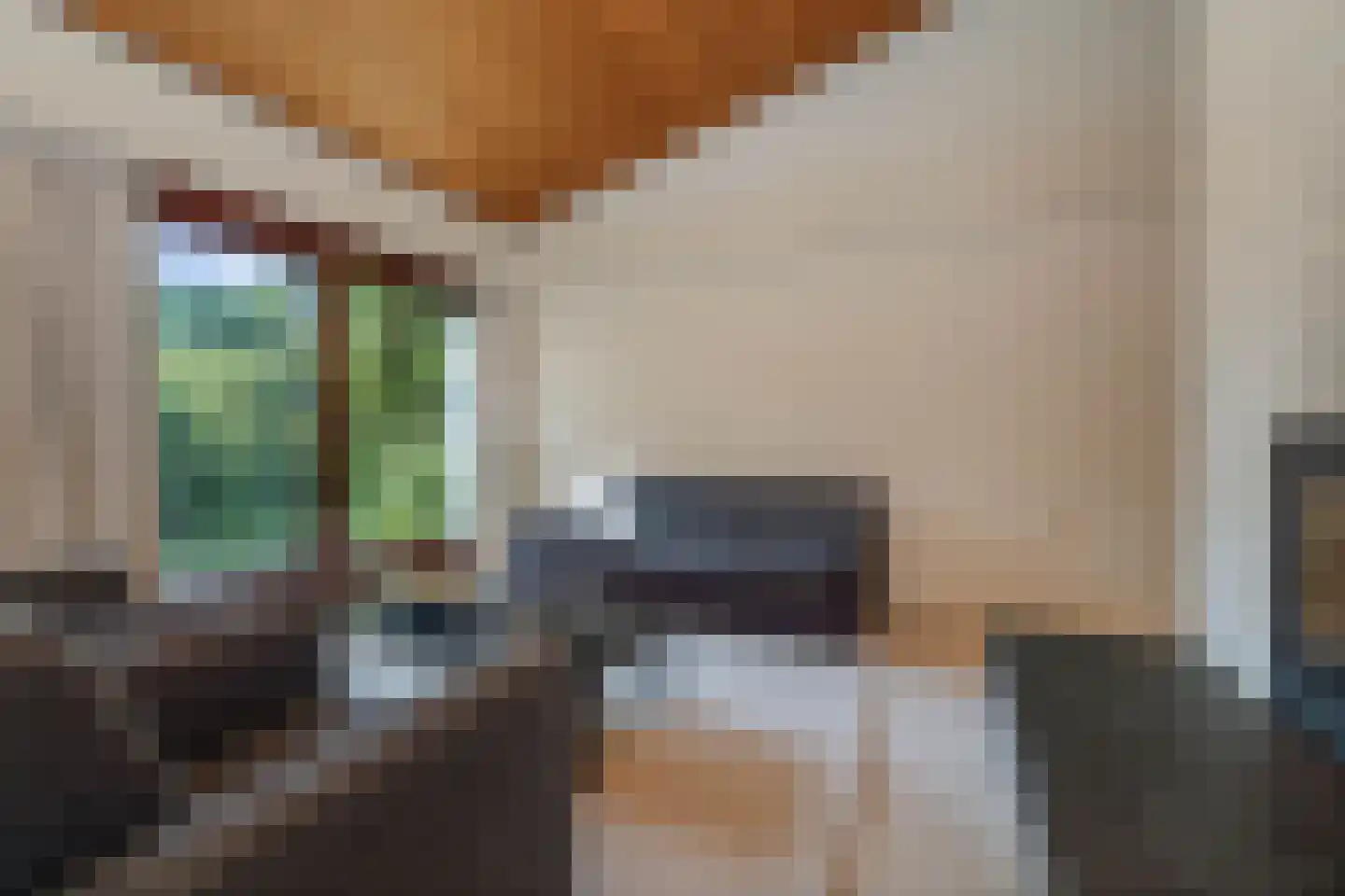 de Schaapvijver 3 Olst thumbnail 9