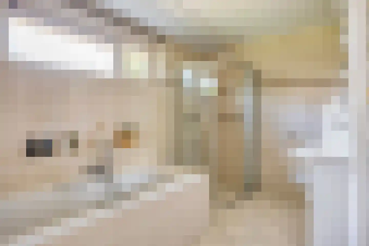 de Schaarsen 3 Heeten thumbnail 17