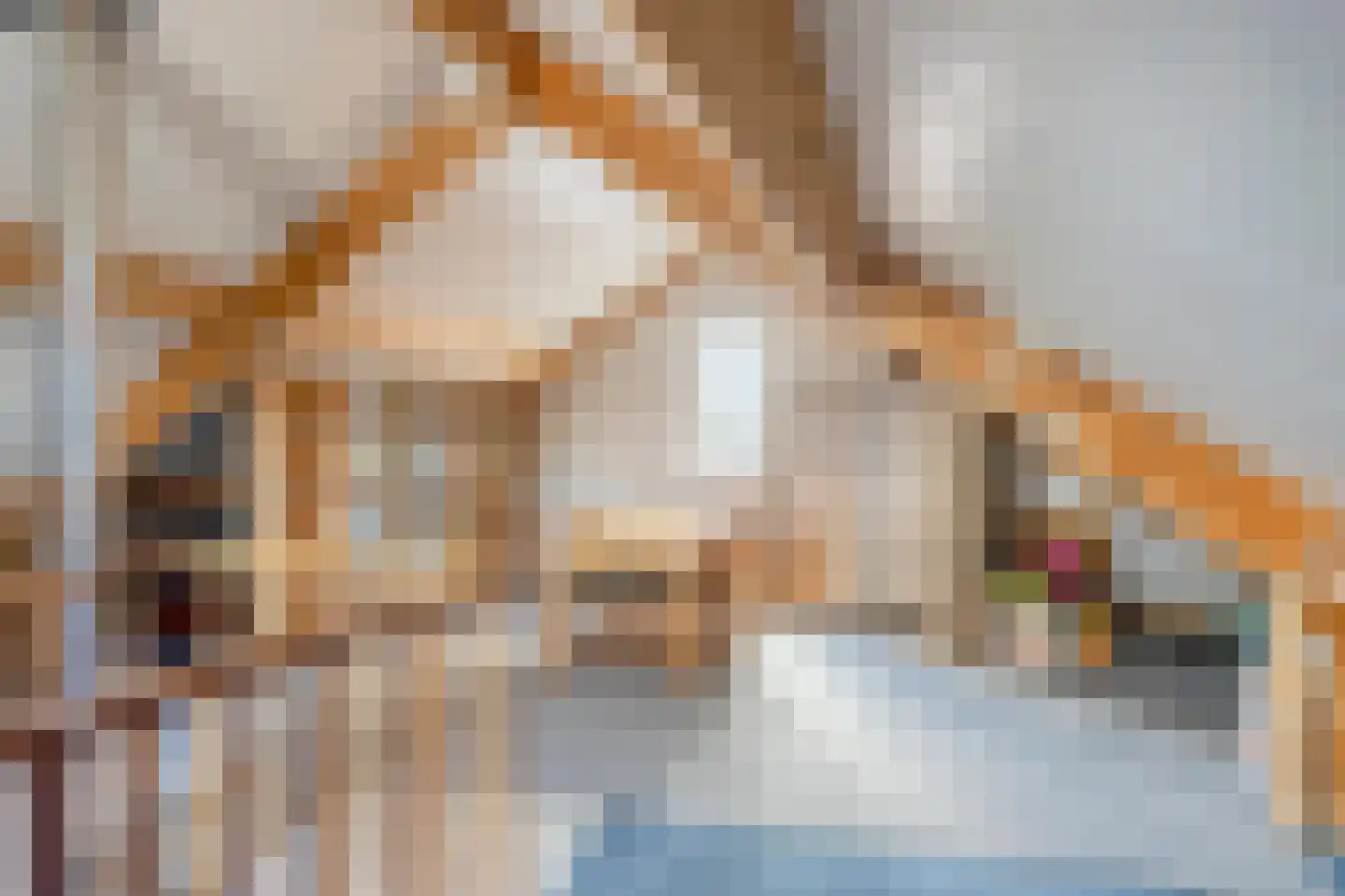 de Schaarsen 3 Heeten thumbnail 28