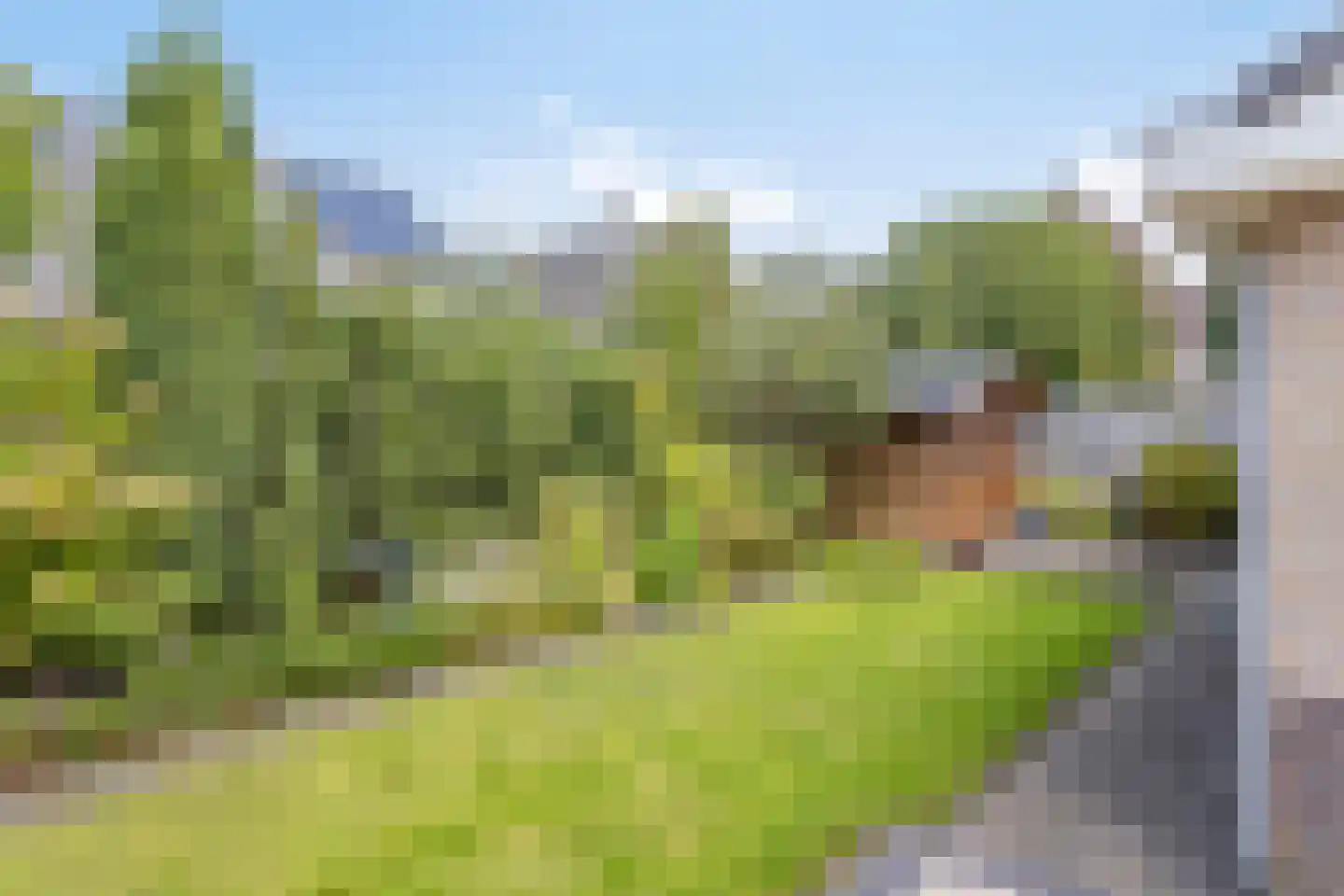 de Schaarsen 3 Heeten thumbnail 32