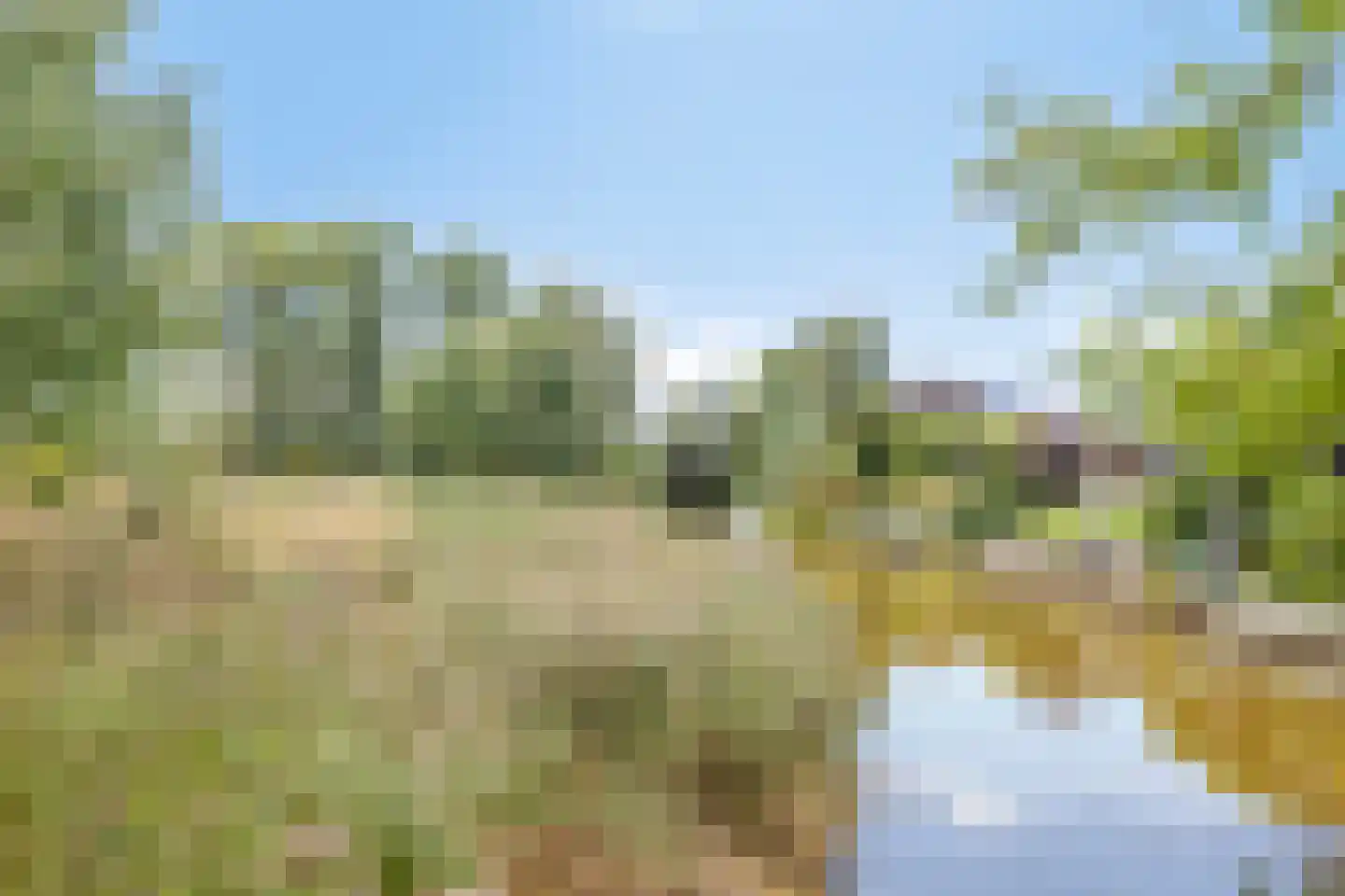 de Schaarsen 3 Heeten thumbnail 39