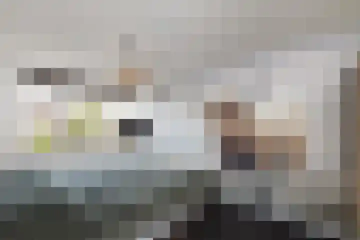 de Schaarsen 4 Heeten thumbnail 13