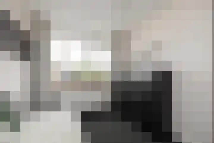 de Schaarsen 4 Heeten thumbnail 16