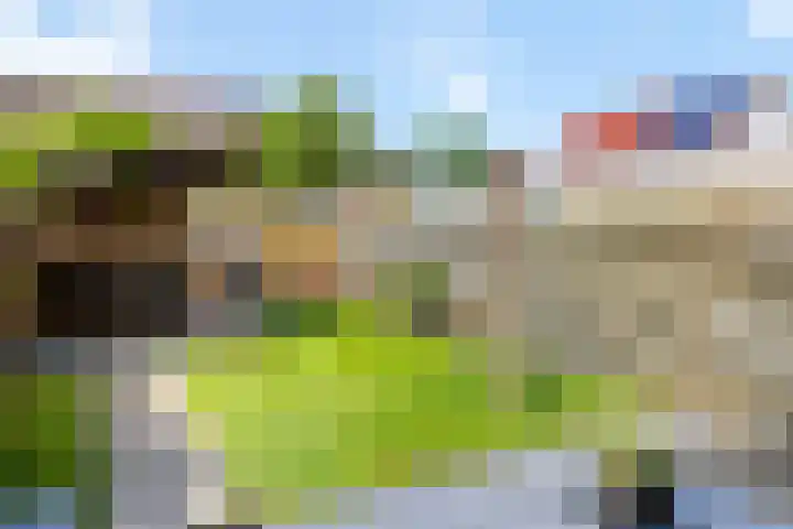 de Schaarsen 4 Heeten thumbnail 23